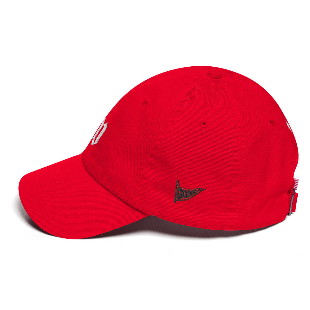 THE WASH STRAP BACK